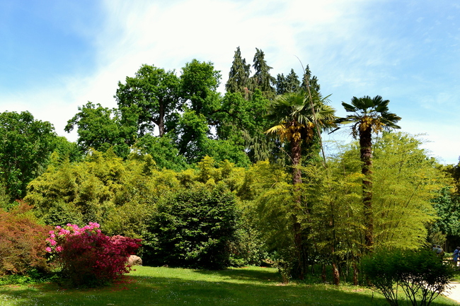  2014.05.08 La Bambouseraie, commune de Anduze région Langudoc-Roussillon (Département du Gard)