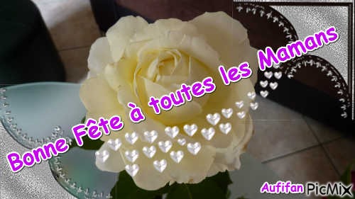 VOICI DES ROSES BLANCHES,