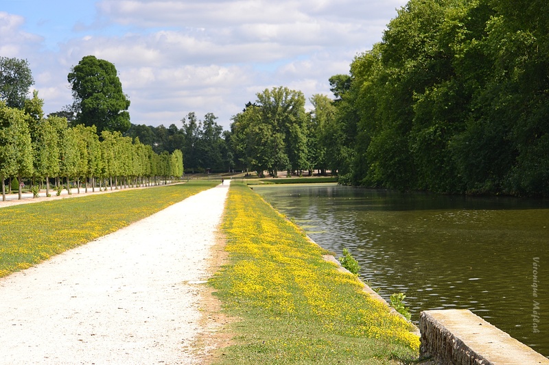 Rambouillet : Balade au bord de l'eau