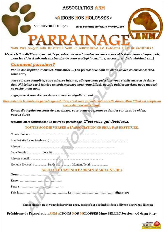 parainnage 2014