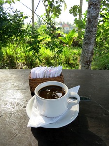 06 Août 2014 - Ubud... les rizières toujours trop belles...