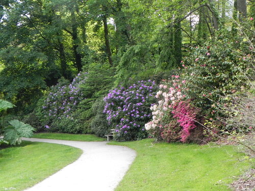 Visite du Parc au mois de Mai  2014