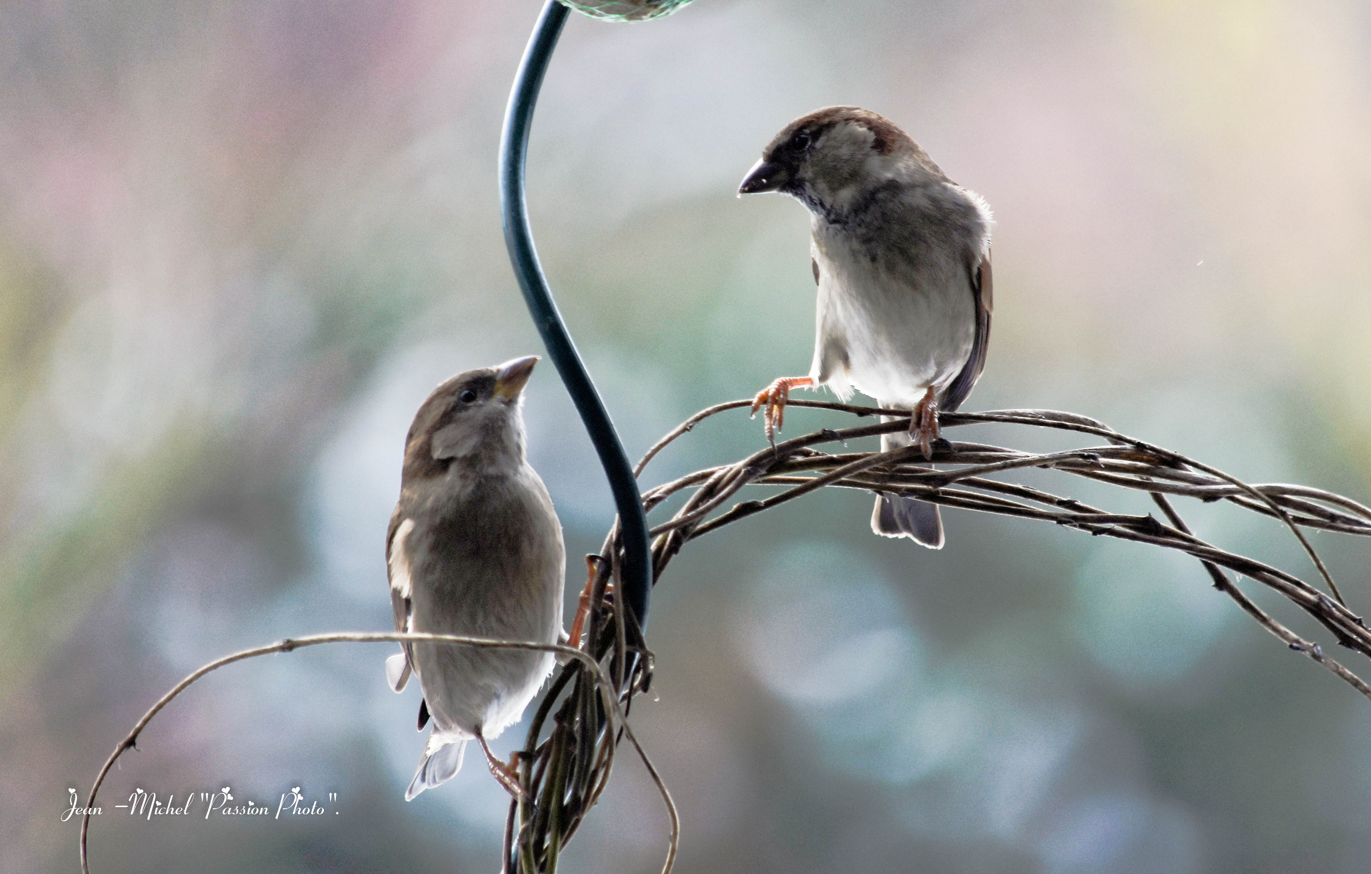 essais pour blog photo