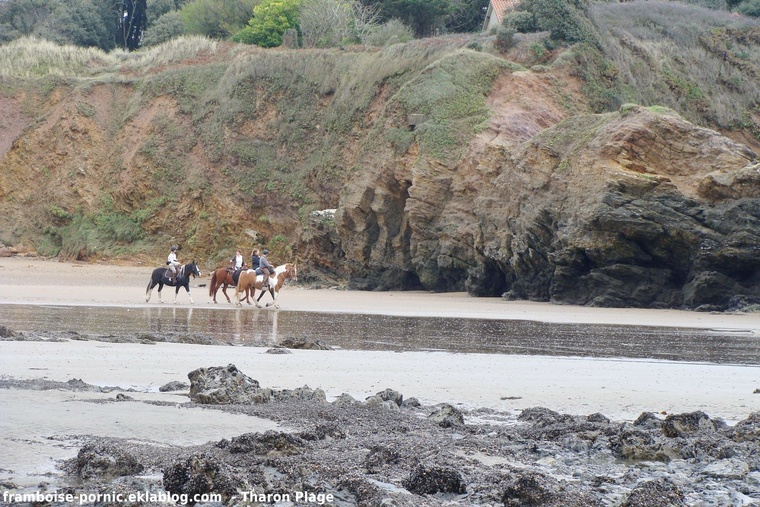 balade équestre Plage de Gohaud à Tharon Plage