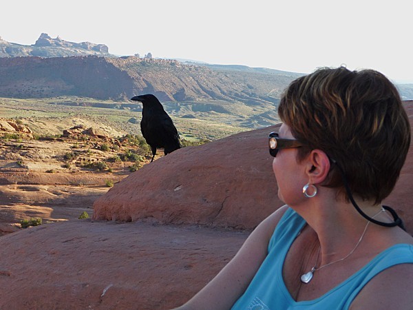 Jour 5 Arches Delicate Arch corbeau