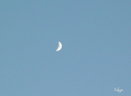 632) Lune