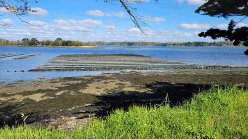 Rando à l'île d'Arz le 18 04 2024 .21 randonneurs ont pris le bateau à Vannes pour faire le tour de l'île sous un beau soleil ( 16km) 