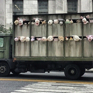 Sirens of the Lambs by Banksy, 2013, the streets of New York