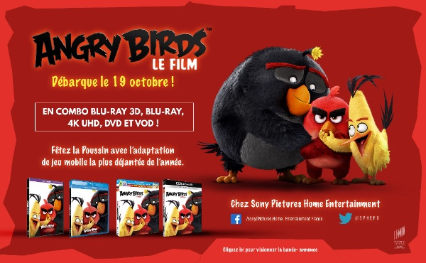 ANGRY BIRDS le Film débarque le 19 octobre 2016 en BLU-RAY 3D, BLU-RAY, DVD et VOD chez Sony