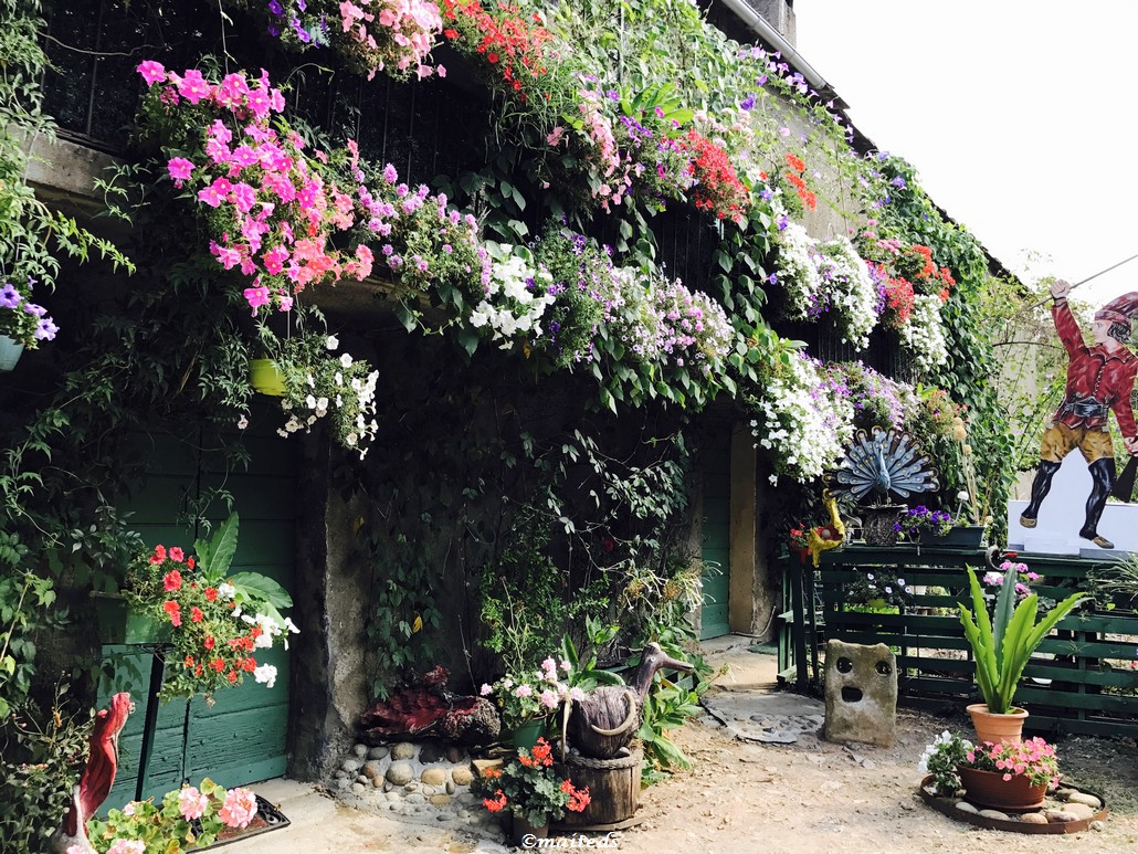 Maison corse tout en fleurs