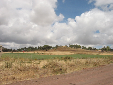 sur la route de Debre Zeit