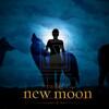 New_Moon___Wolves_by_Jangsara.jpg