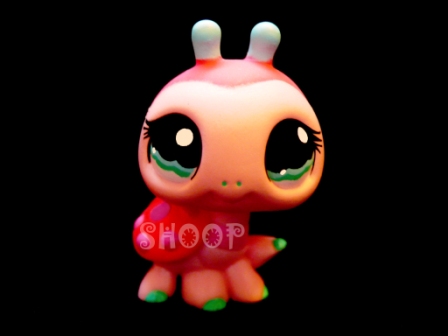 LPS 1143