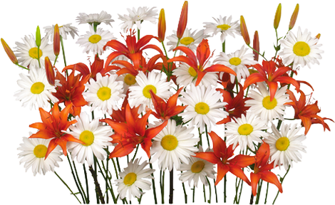 tubos de flores / ramos