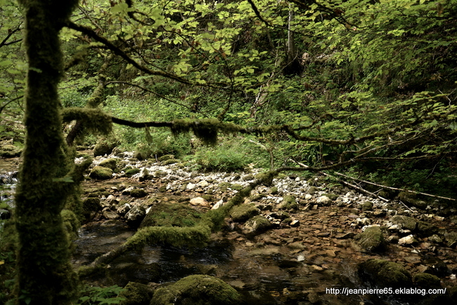 2015.07.19 Bain de fraîcheurs dans le Vercors (2)