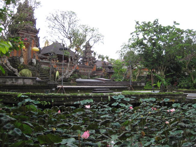 Ubud Bali , spectacle de danse au Lotus Pond 