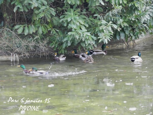 PETIT TOUR FRISQUET AU PARC