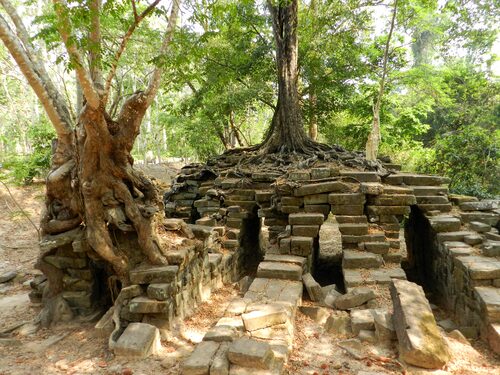 CAMBODGE Siem reap, la ville d'Angkor Vat