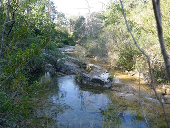 Dans le lit du ruisseau (vers l'amont)