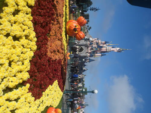 C'est Halloween à Disneyland
