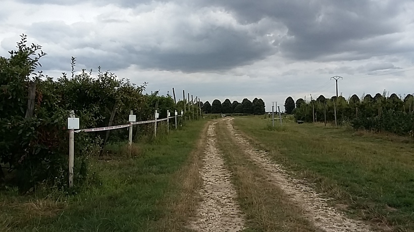 un tour à la cueillette en seine et marne 