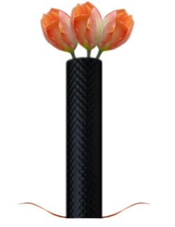 Tulipe