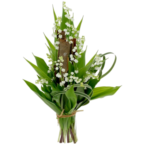 Muguet ( bouquet )