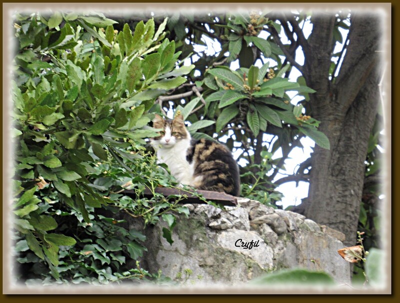 Promenade laurentine