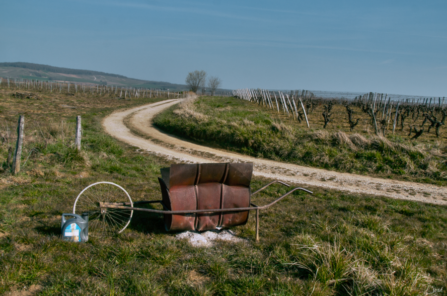 Balade dans les vignes en pays arboisien.