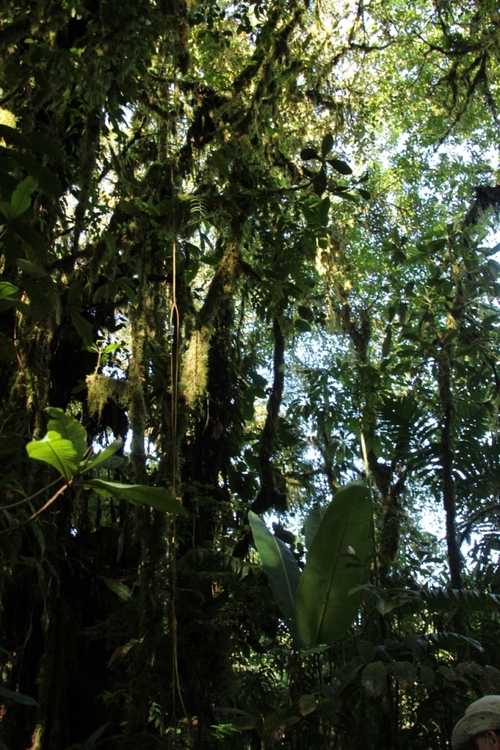 Parc national de Santa Elena