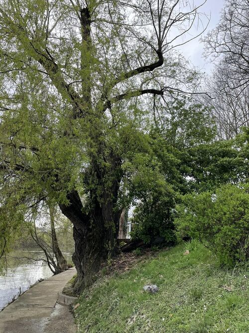 les bords de marne dernièrement 