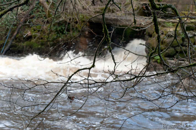 L'écluse sur le Scorff à Poulhibet L'écluse sur le Scorff à Poulhibet