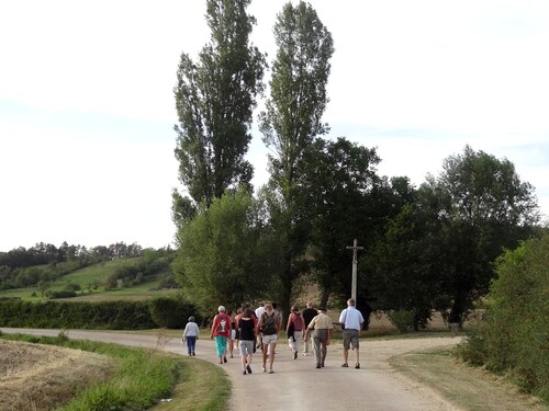 Une belle balade à Chaumont le bois et Vannaire, guidée par Anne Bouhélier