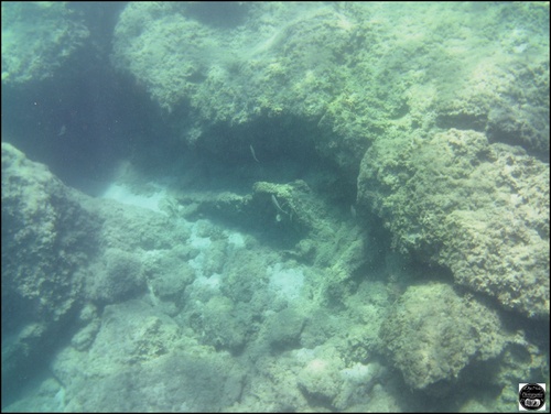 Grèce, vue sous-marine, de la mer Egée