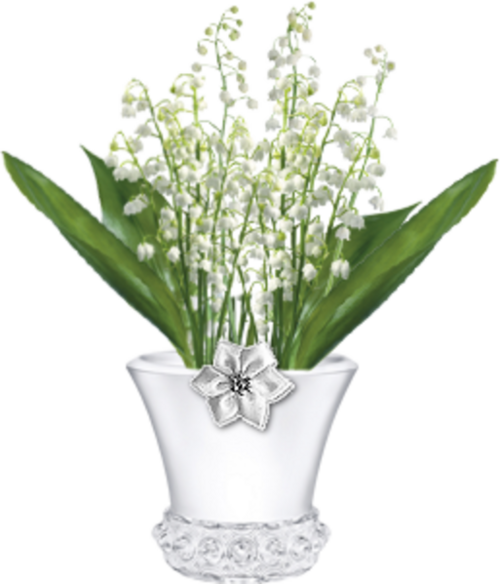 Fleurs Muguet dans vases