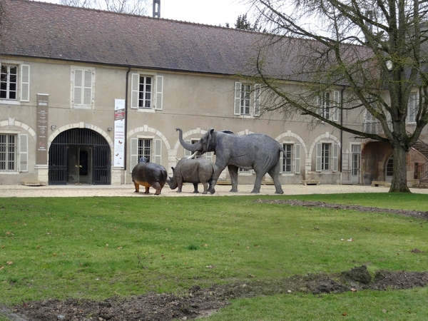 Le Museum d'Histoire Naturelle de Dijon