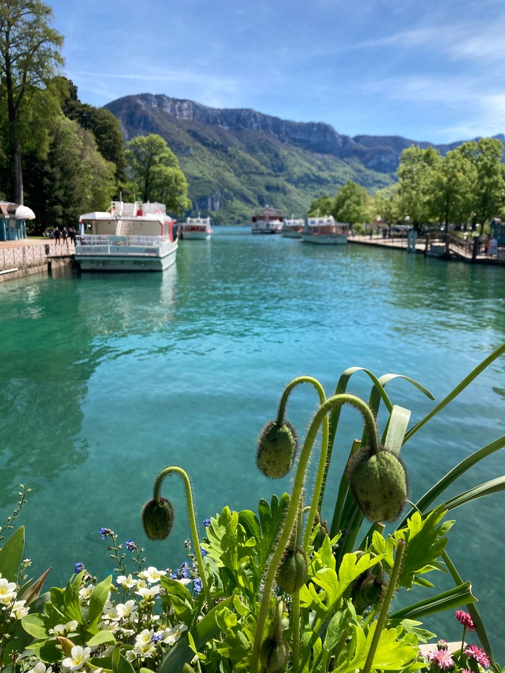 Annecy fleurie