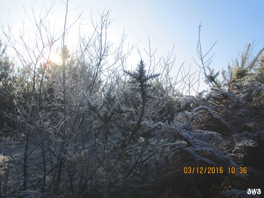 La nature est givrée !! 