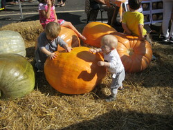 La fête de la courge