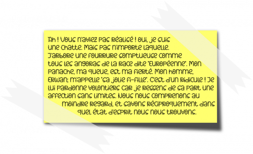 chat Catia mène l'enquête Miaou, bordel Gérard Chevalier