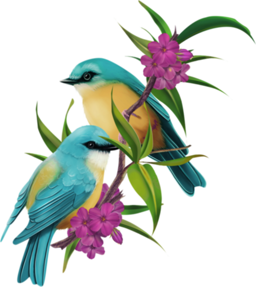 Birds and flowers