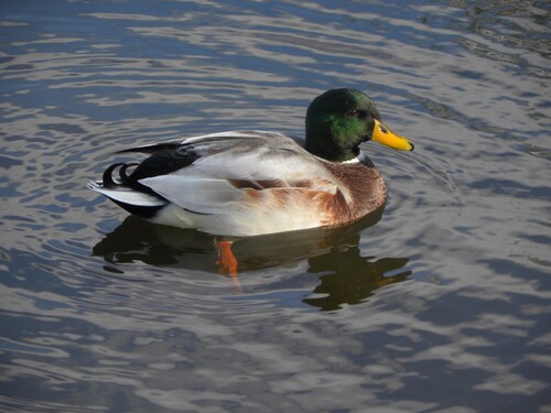 Hier au parc