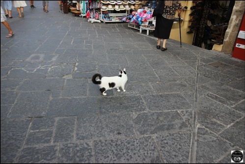 La vieille ville de Rhodes, l'île de Rhodes