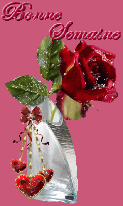 Le temps passe si vite bonne semaine