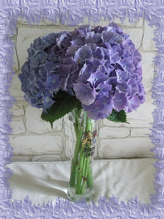 bouquet hortensia juillet 2012