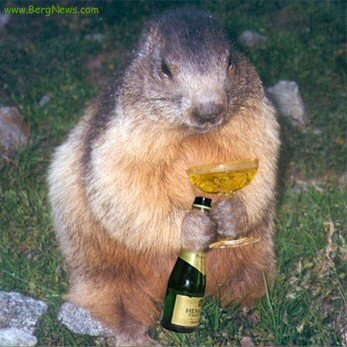 rolemarmottechampagne1qw.jpg
