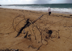 Bretagne mai 2014 (4) - Etel