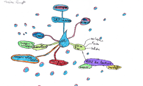 Carte mentale en Chimie