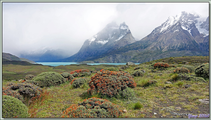 Panorama sur la petite Laguna Larga, le grand Lago Nordenskjöld et les Cuernos Del Paine - Parque Torres del Paine - Patagonie - Chili