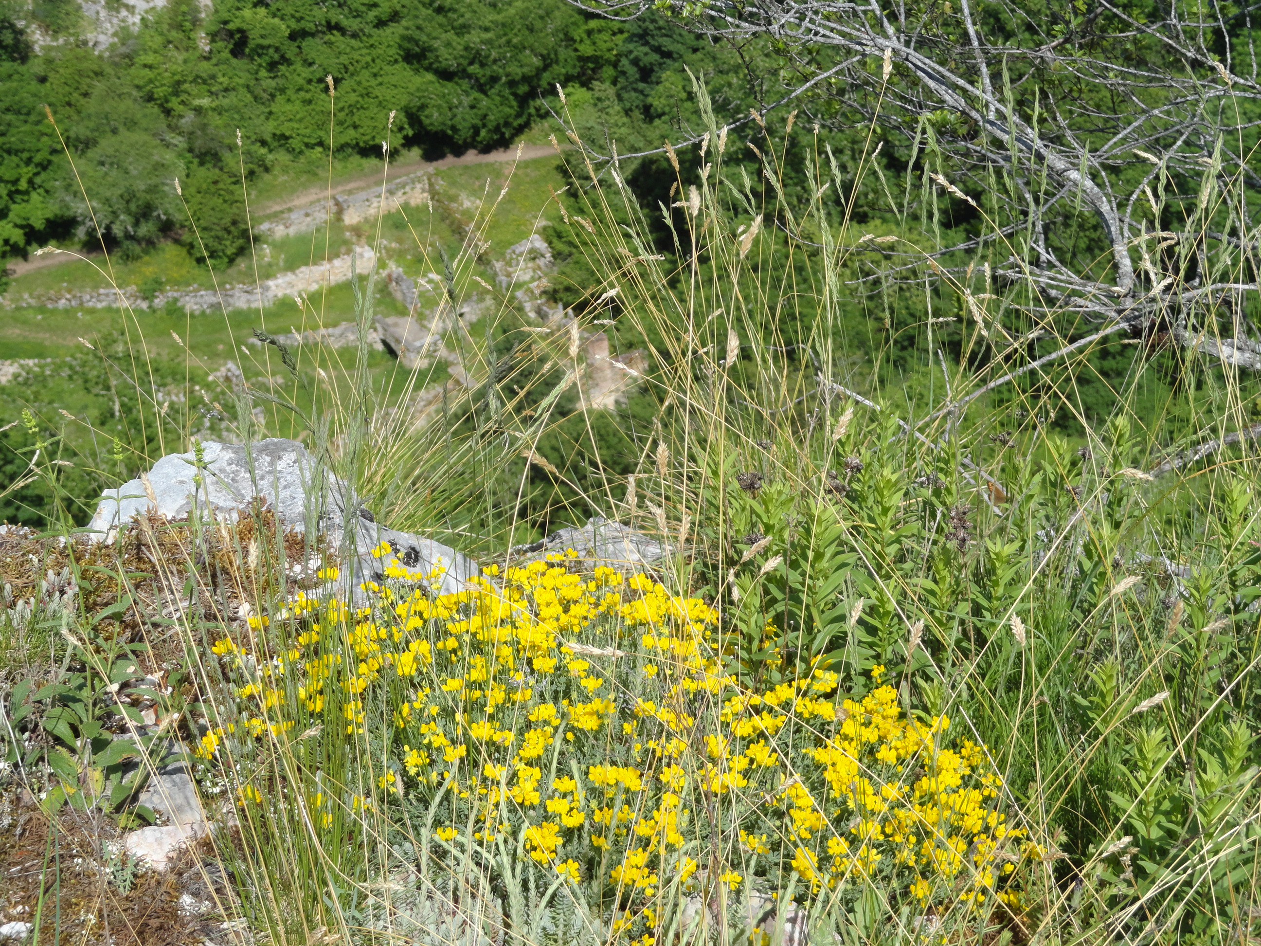 rencontres gramat